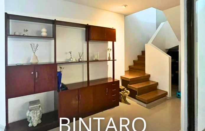 Bintaro 1