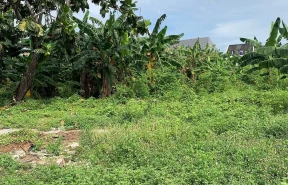 Rawamangun