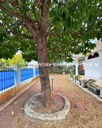 Property Kebon Jeruk 3 ~blog/2025/8/11/dijual_rumah_lama_hitung_tanah_lokasi_super_strategis_nyamankawasan_kelapa_dua_kebon_jerukb_7