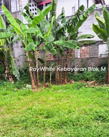 Property Depok 3 ~blog/2025/8/26/1