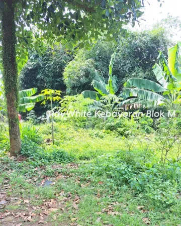 Property Depok 4 ~blog/2025/8/26/2