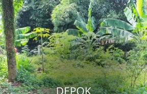 Depok
